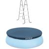 Intex Steel Frame Above Ground Pool Ladder & Intex 15 Ft Above Ground Pool Cover