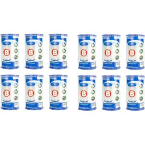 Intex 29005E Easy Set Type B Replacement Filter Pump Accessory Cartridge with 63 Pleats for a Clean and Clear Swimming Pool, (12 Pack)