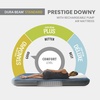 Intex 64189EP 10in Queen Dura-Beam Prestige Downy Air Mattress with Rechargeable Pump for Travel and Camping(Twin)
